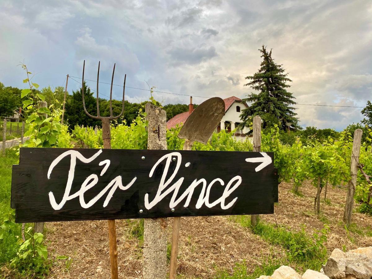 Ter Pince Villa Sumeg Exterior photo